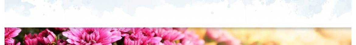Livraison de chrysanthèmes à domicile et cimetière en 3h