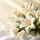 Comment envoyer des fleurs pour une crémation ?