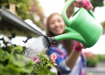 Comment entretenir ses fleurs de deuil ?